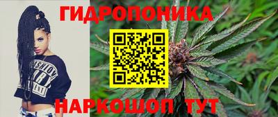 ешки Партизанск