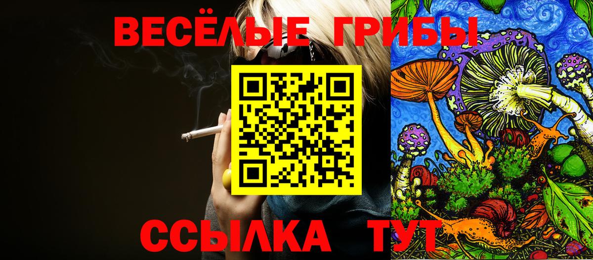 Псилоцибиновые грибы Magic Shrooms  Вход с VPN  Самара 